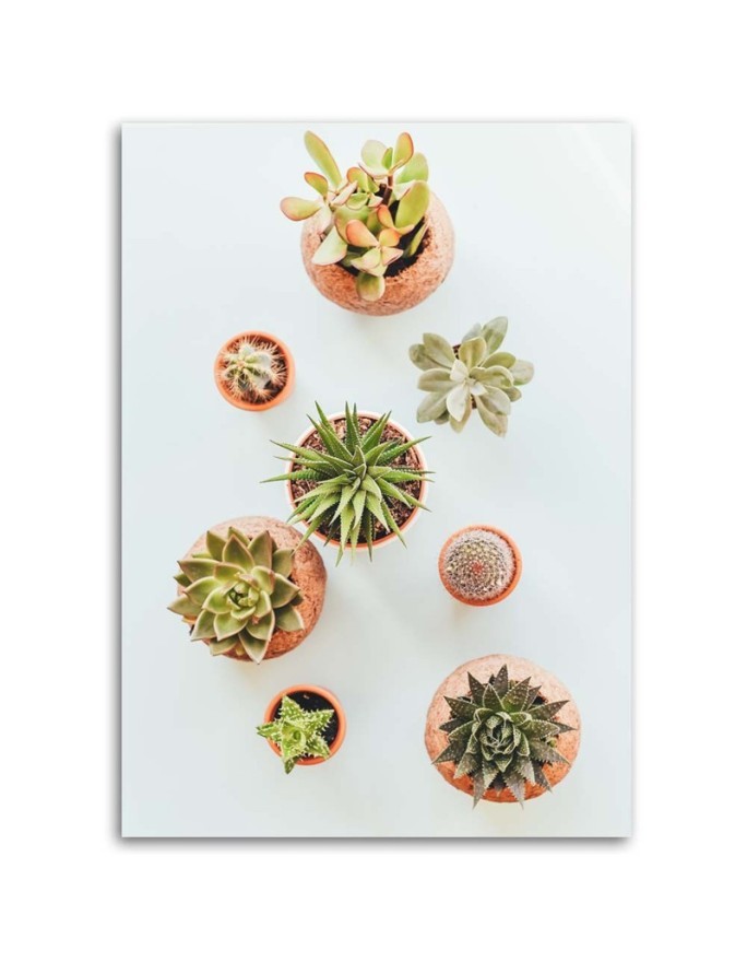 Modern painting for the kitchen - Plants in pots | FEEBY