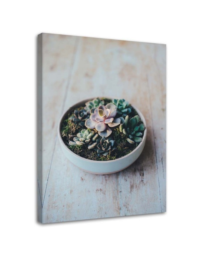 Decorative painting for the kitchen - Plants in a pot | FEEBY