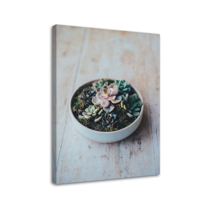 Decorative painting for the kitchen - Plants in a pot | FEEBY