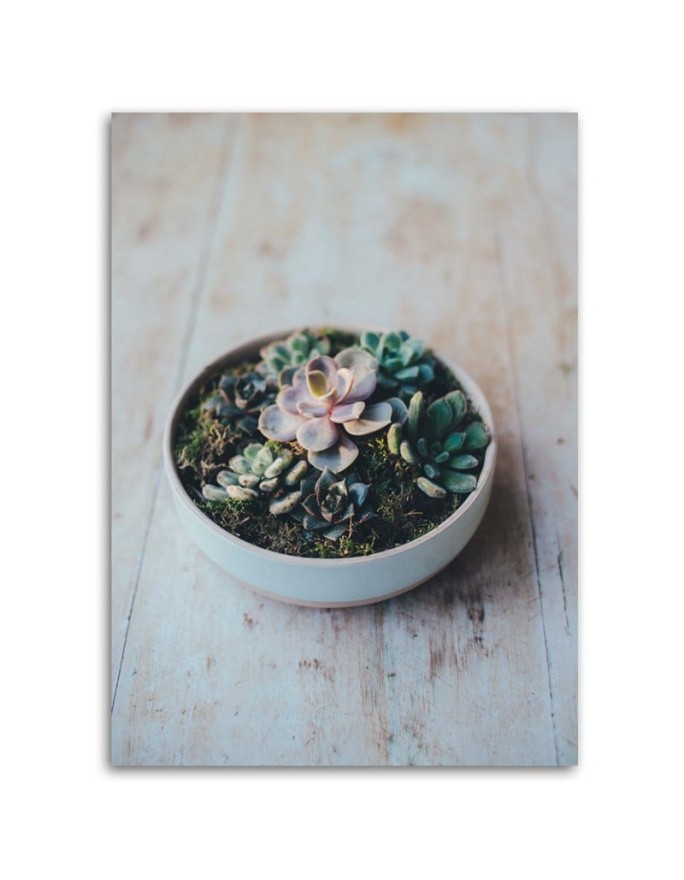 Decorative painting for the kitchen - Plants in a pot | FEEBY