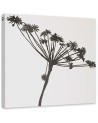 Wall Art painting for kitchen - Black shadow of Cyperus | FEEBY