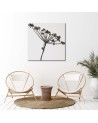 Wall Art painting for kitchen - Black shadow of Cyperus | FEEBY