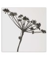 Wall Art painting for kitchen - Black shadow of Cyperus | FEEBY