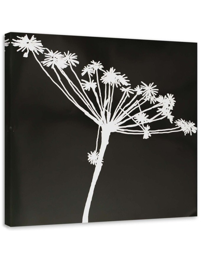 Modern wall art painting - White shadow of Cyperus | FEEBY
