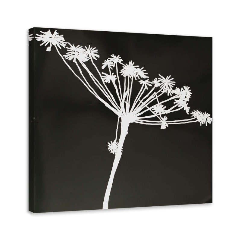 Modern wall art painting - White shadow of Cyperus | FEEBY
