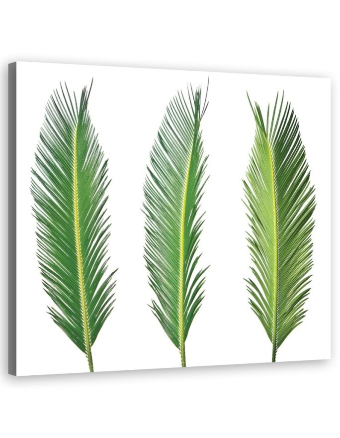Modern Canvas painting for living room - Green leaves | FEEBY