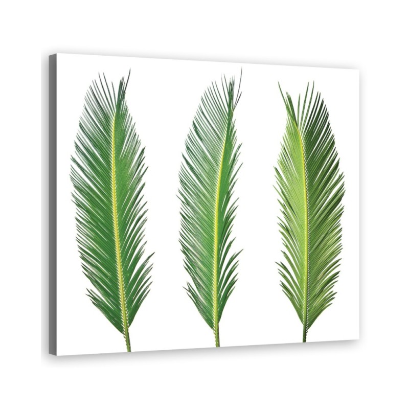 Modern Canvas painting for living room - Green leaves | FEEBY