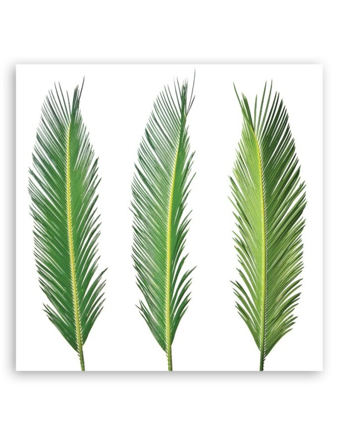 Modern Canvas painting for living room - Green leaves | FEEBY