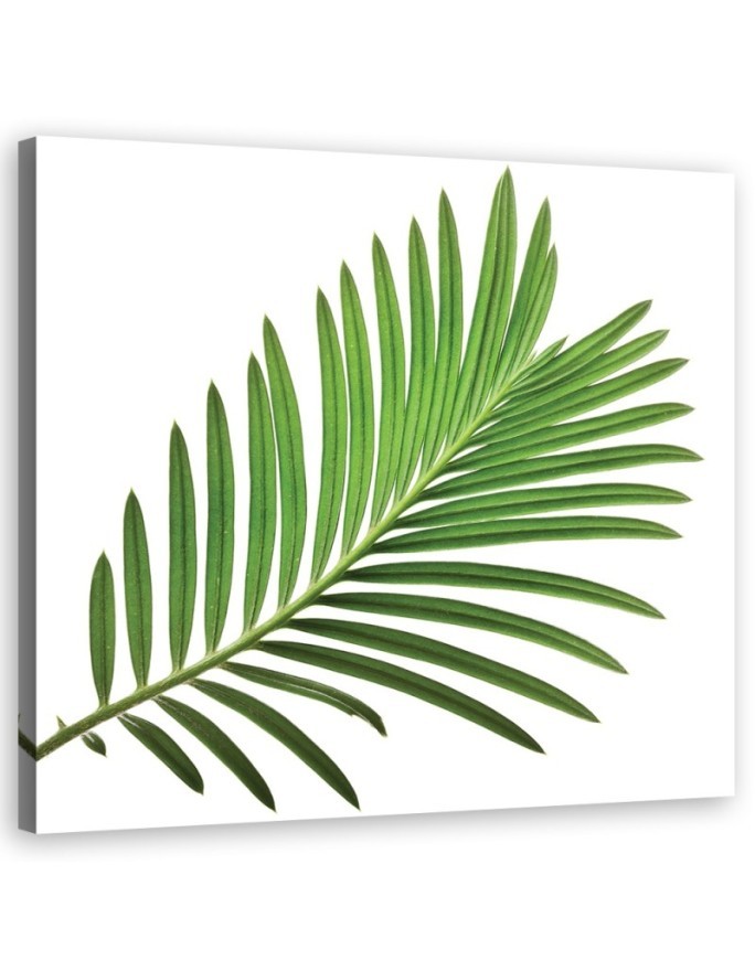 Canvas prints for kitchen modern print - Leaf green | FEEBY