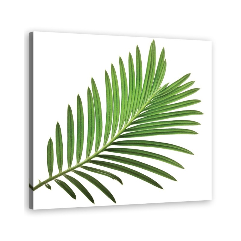 Canvas prints for kitchen modern print - Leaf green | FEEBY