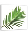 Canvas prints for kitchen modern print - Leaf green | FEEBY