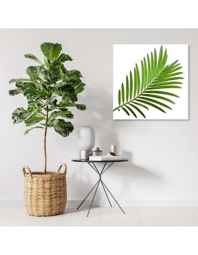 Canvas prints for kitchen modern print - Leaf green | FEEBY