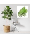 Canvas prints for kitchen modern print - Leaf green | FEEBY