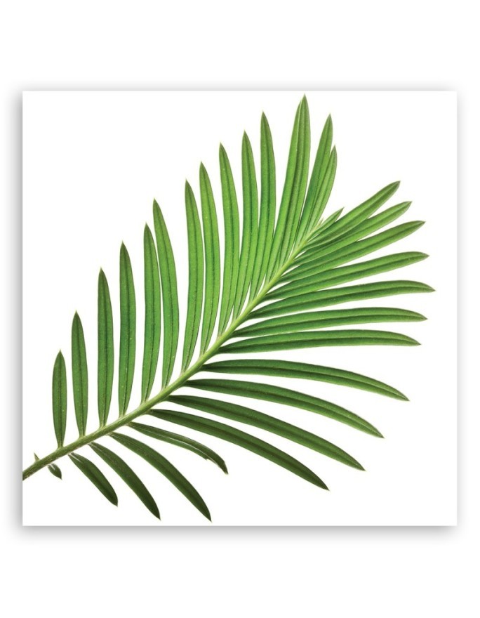 Canvas prints for kitchen modern print - Leaf green | FEEBY