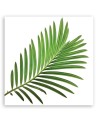 Canvas prints for kitchen modern print - Leaf green | FEEBY