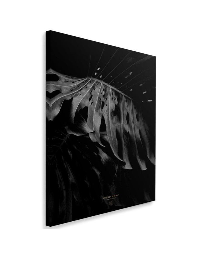 Wall art painting for living room Monstera b&w Dmitry Belov | FEEBY