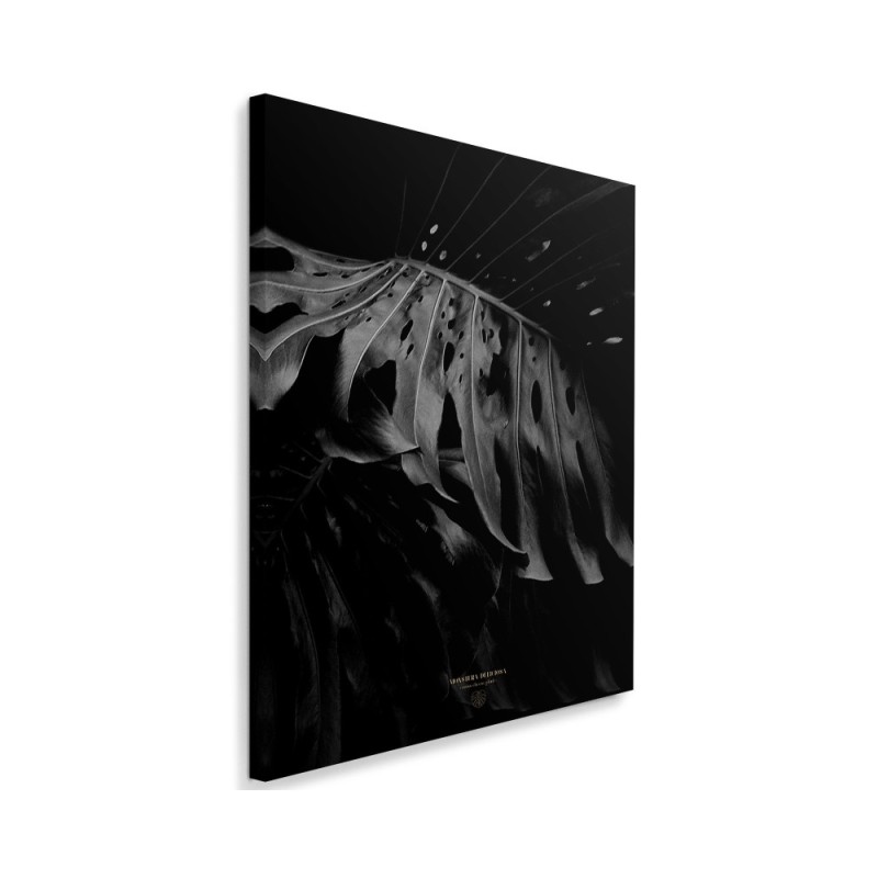 Wall art painting for living room Monstera b&w Dmitry Belov | FEEBY