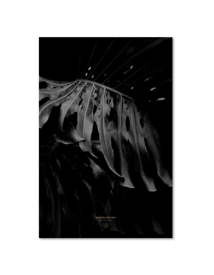 Wall art painting for living room Monstera b&w Dmitry Belov | FEEBY