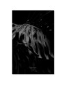 Wall art painting for living room Monstera b&w Dmitry Belov | FEEBY