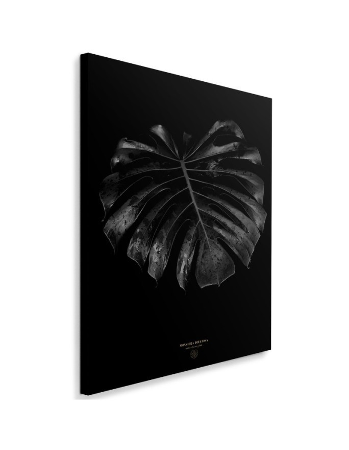 Fashionable wall art painting - Monstera detail Dmitry Belov | FEEBY
