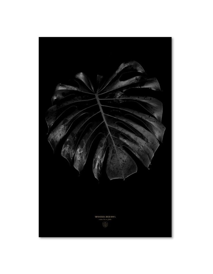 Fashionable wall art painting - Monstera detail Dmitry Belov | FEEBY