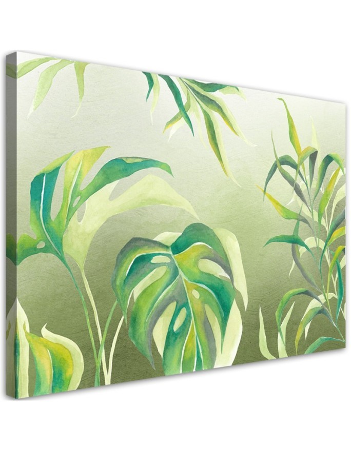 Canvas prints for modern living room - Monstera leaves | FEEBY