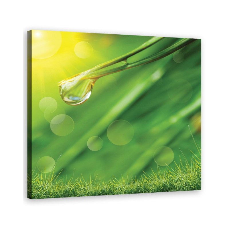 Wall art painting for study modern - Rosa on grass | FEEBY