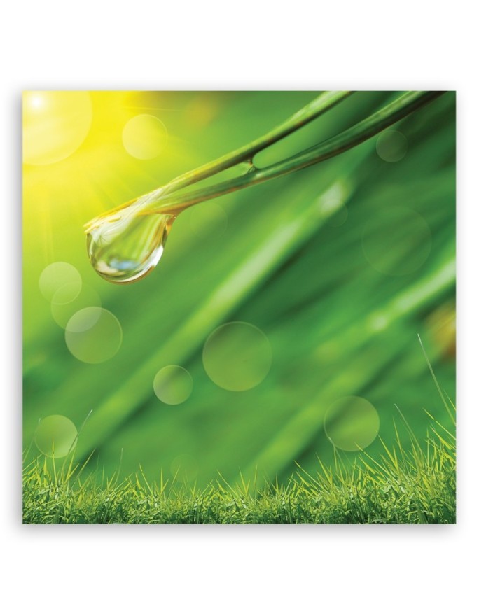Wall art painting for study modern - Rosa on grass | FEEBY