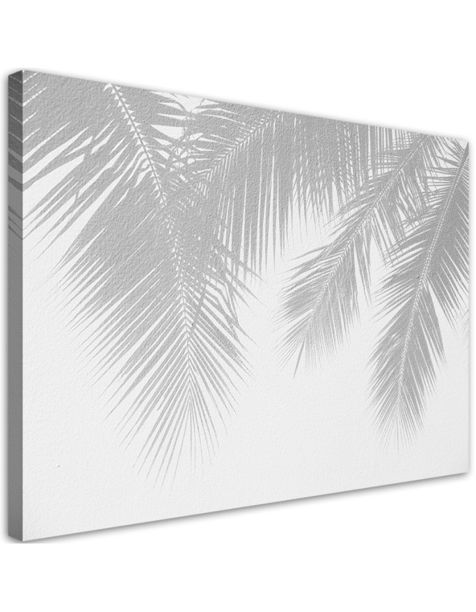 Canvas print Grey palm leaves