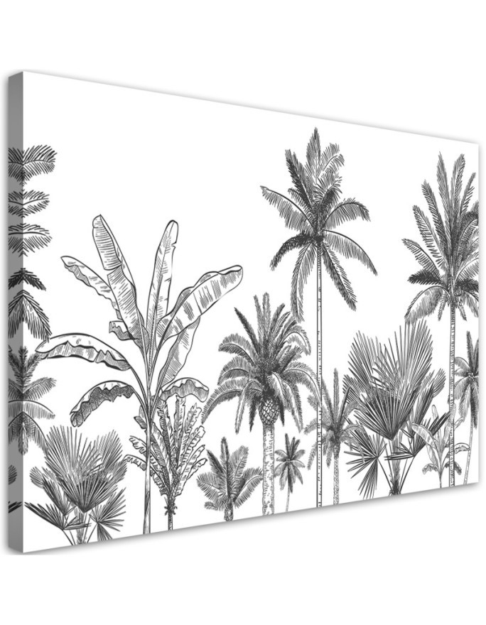 Canvas prints for youth room - Black and white palm trees | FEEBY