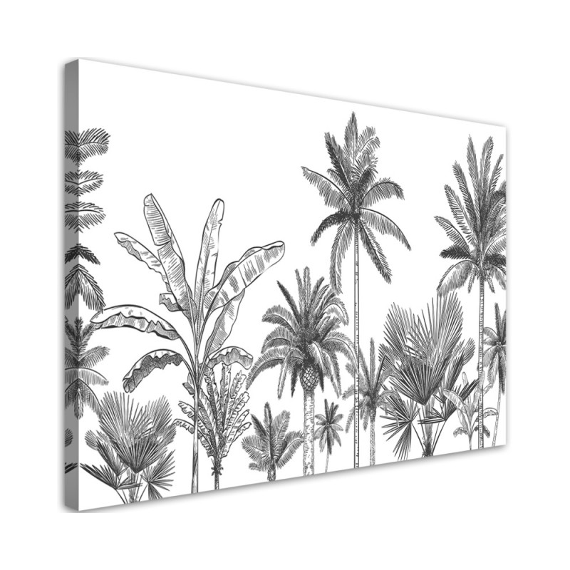Canvas prints for youth room - Black and white palm trees | FEEBY