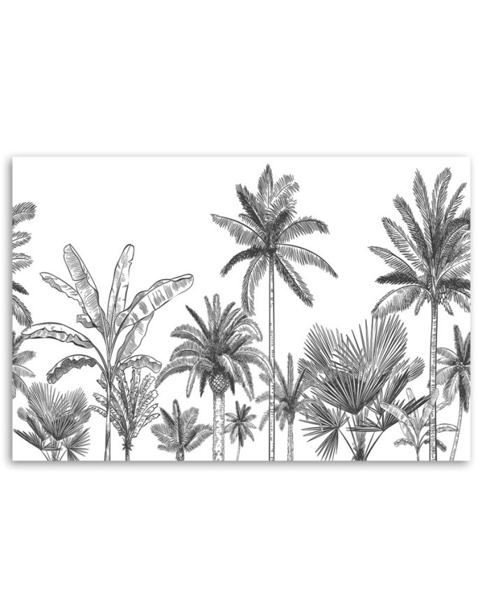 Canvas prints for youth room - Black and white palm trees | FEEBY