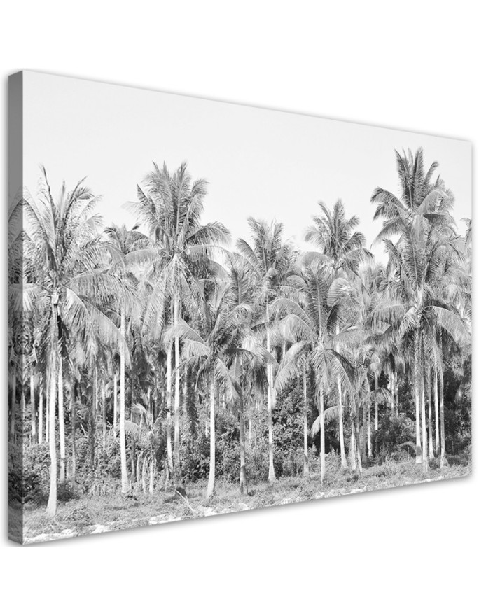 Modern canvas painting - Black and white palm trees in the jungle | FEEBY