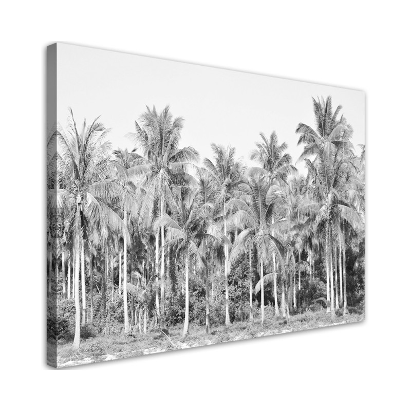 Modern canvas painting - Black and white palm trees in the jungle | FEEBY