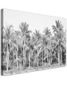 Modern canvas painting - Black and white palm trees in the jungle | FEEBY