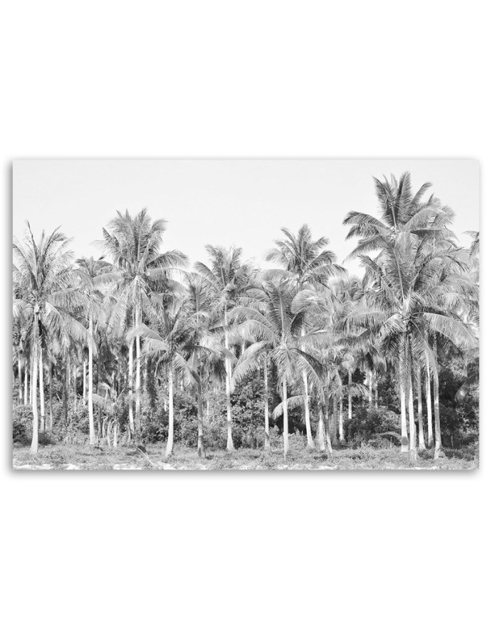 Modern canvas painting - Black and white palm trees in the jungle | FEEBY