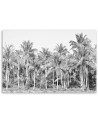 Modern canvas painting - Black and white palm trees in the jungle | FEEBY