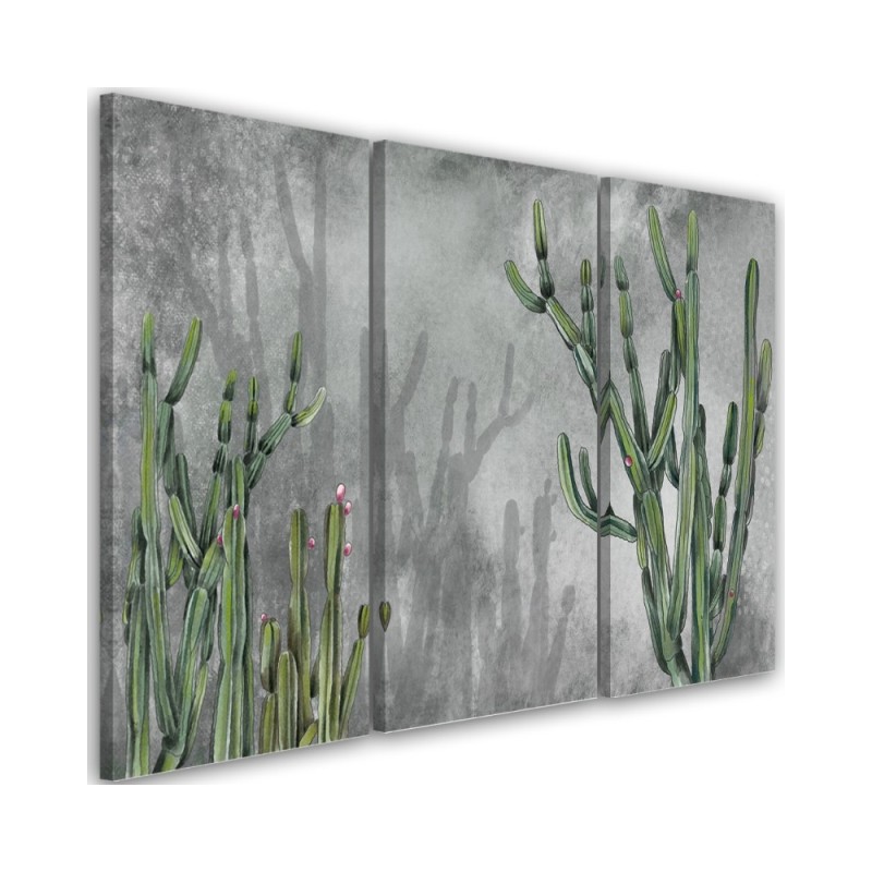 Study triptych painting - Large desert cactus | FEEBY