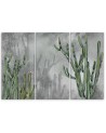 Study triptych painting - Large desert cactus | FEEBY