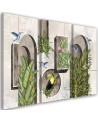 Triptych - Shapes in the wall with plants and birds toucan hummingbird | FEEBY