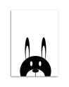 Children's room print Canvas prints - Contrasting hare | FEEBY