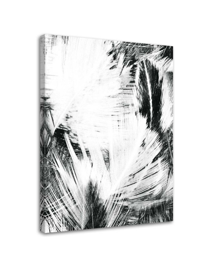 Canvas print Black and...