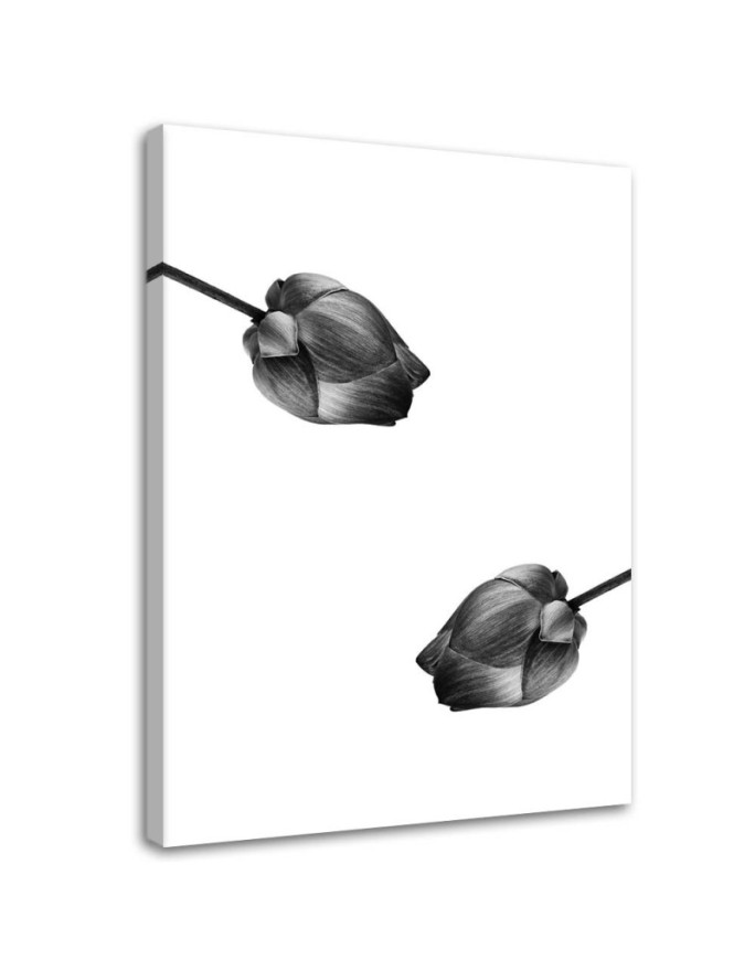 Canvas print Two grey flowers