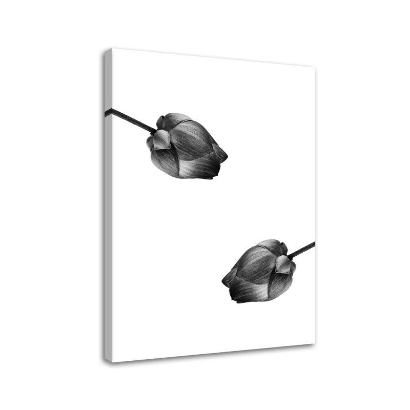 Wrapped Canvas prints wall art - Two grey flowers | FEEBY