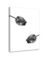 Wrapped Canvas prints wall art - Two grey flowers | FEEBY