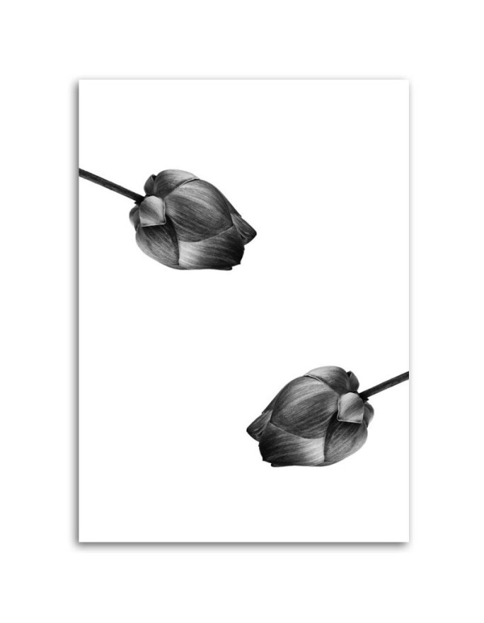 Wrapped Canvas prints wall art - Two grey flowers | FEEBY