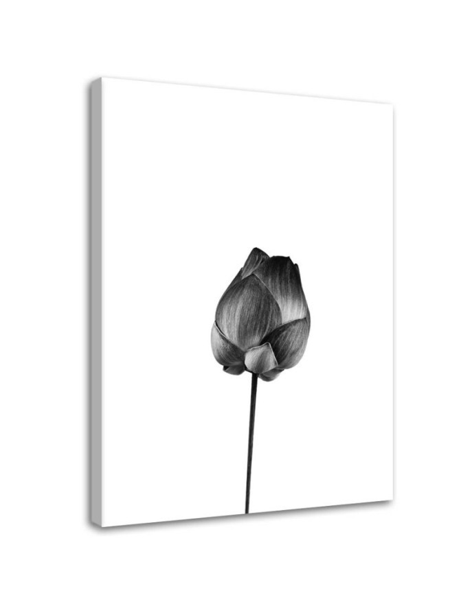 Canvas Painting for living room modern - Black flower | FEEBY