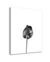 Canvas Painting for living room modern - Black flower | FEEBY