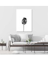 Canvas Painting for living room modern - Black flower | FEEBY