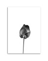 Canvas Painting for living room modern - Black flower | FEEBY